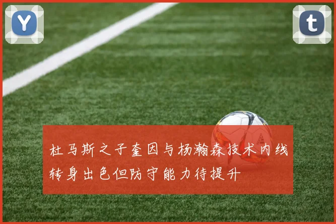 杜马斯之子奎因与杨瀚森技术内线转身出色但防守能力待提升